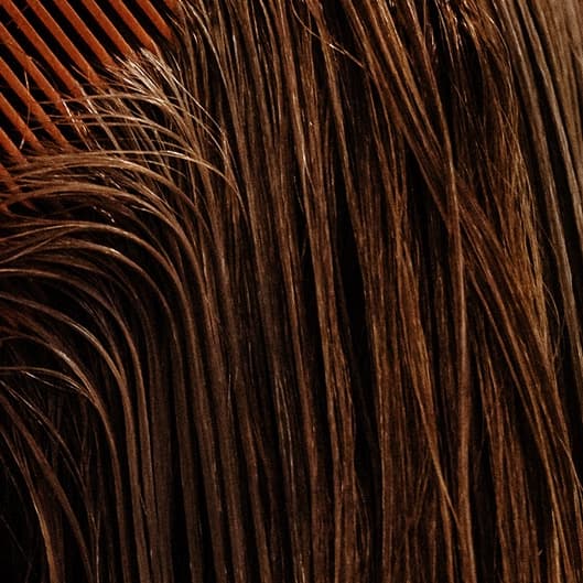 Clipper Cut Bundle at Bantum Beauty in Graham, NC